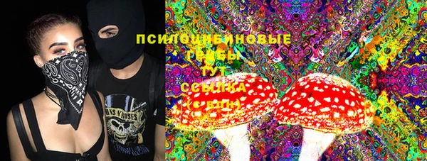 кокаин перу Богданович