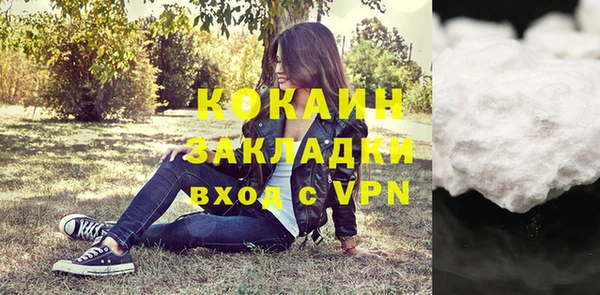 твердый Богородицк